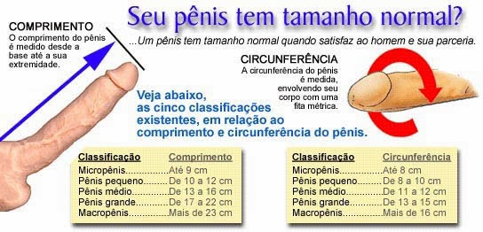 A menina vê um pequeno pênis